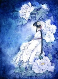 秘医的征服之路赵立晨高媛